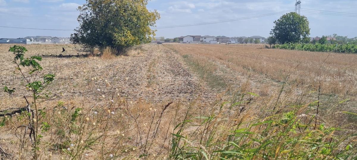 Teren investitie Berceni - 11