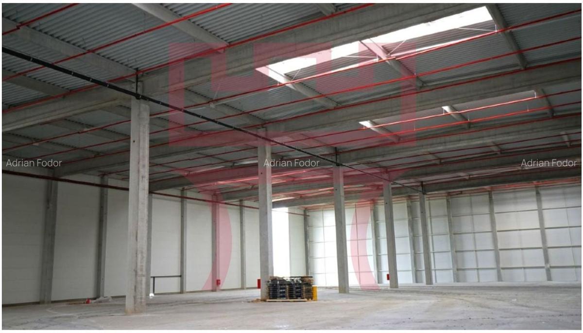 Module de hala noi cu rampa, platforma betonata,  spatii birouri - 2