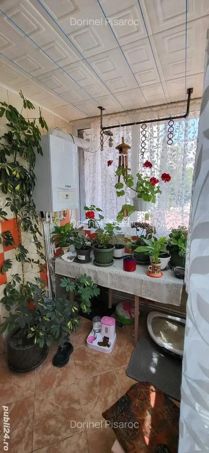 Vand apartament 3 camere - 3