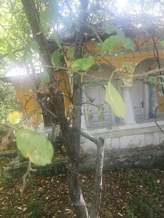Teren de 1113 mp si casa batraneasca in comuna Mihaesti jude?ul Valcea - 2