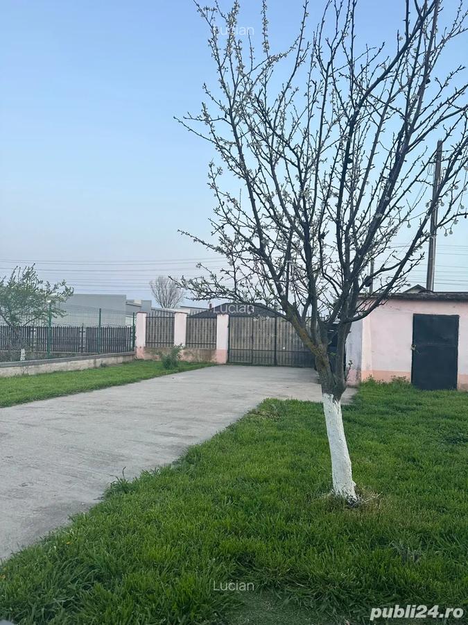 Se vinde casa in Cocani, Crevedia - 10