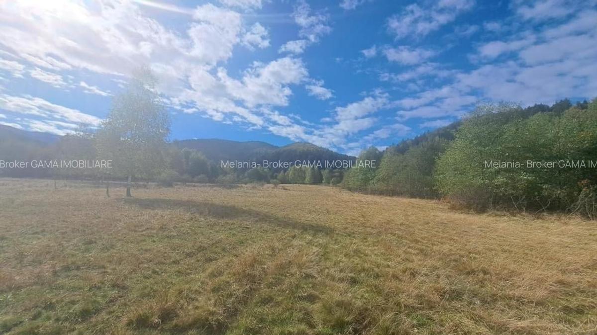 GM53438 Oportunitate investitie in Muntii Fagaras, teren 18000mp - 1