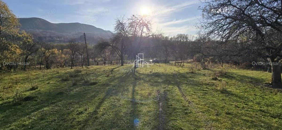 Teren Intravilan 1,2 Hectare cu Cert Urbanism,Sat Tisieu,Com. Ibanesti - 5