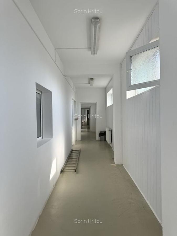 Spațiu industrial, 1270 mp în Dumbrăvița - 8