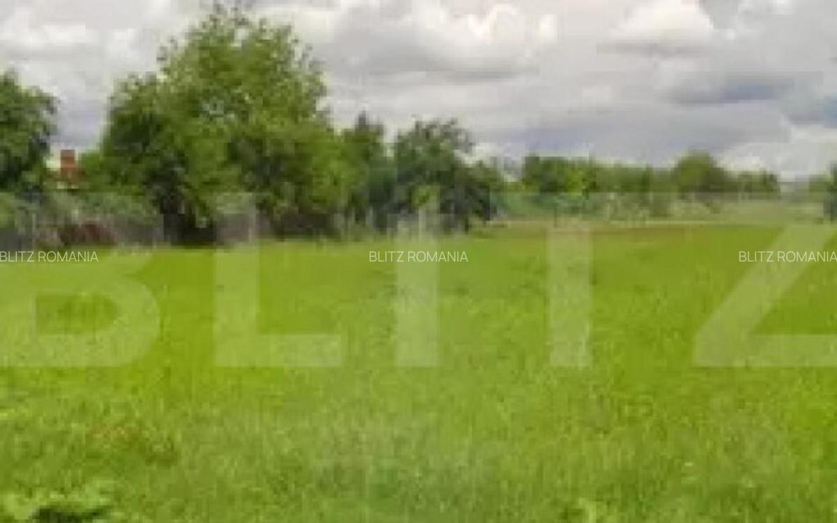 Teren extravilan la pttincipala Calea Lugojului 5000 mp - 1