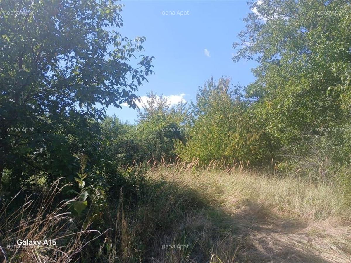 RECO Teren intravilan Oradea, sub 22 euro/mp - 1