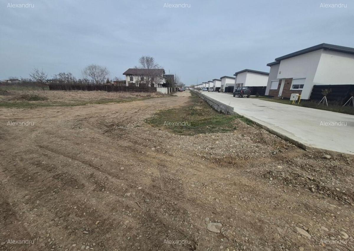 Teren intravilan ieftin Balotesti, 1100 mp, 25000 euro - 8