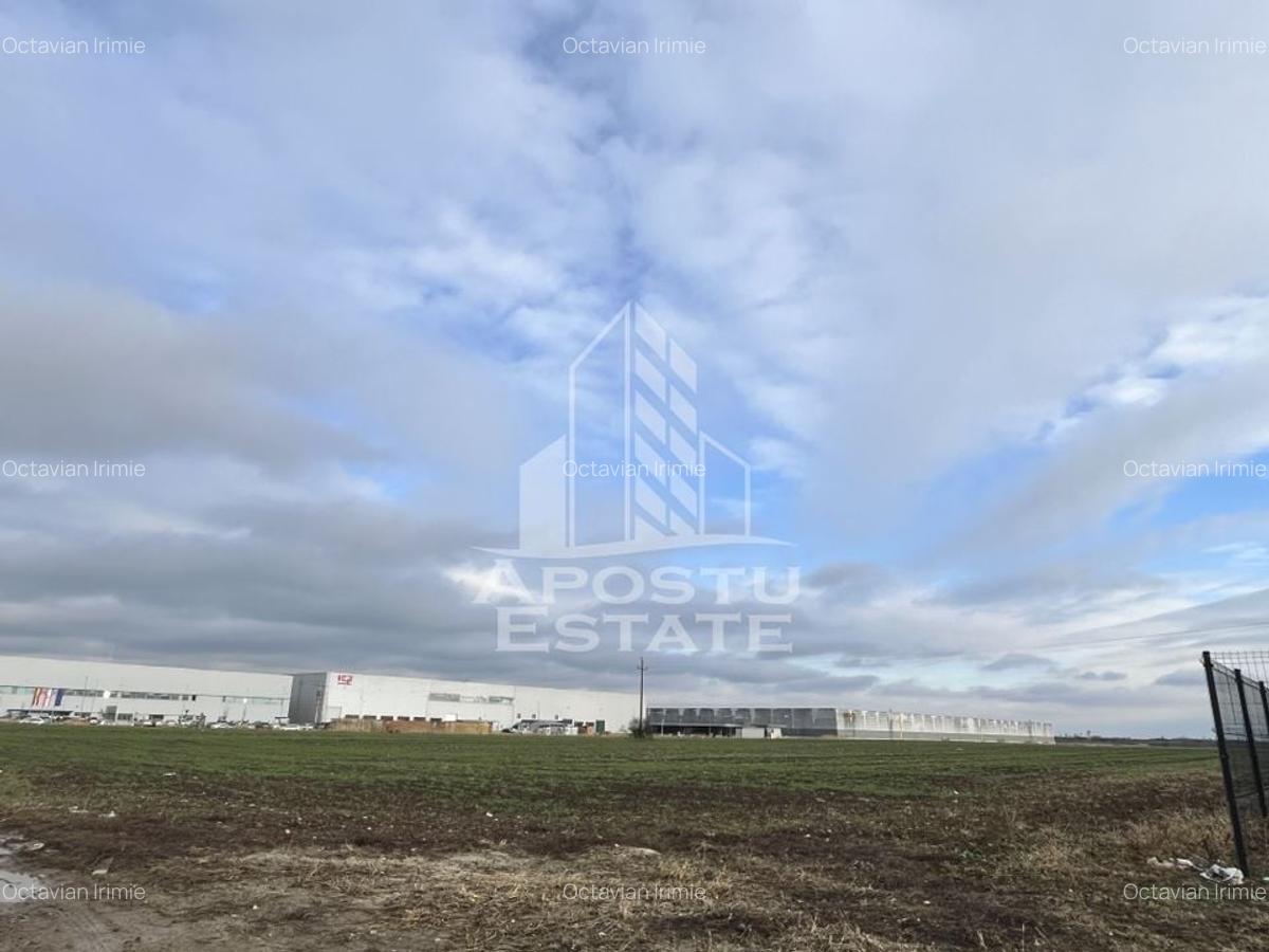 Teren de vanzare 30.400 mp, langa Continental si Hamilton. - 3