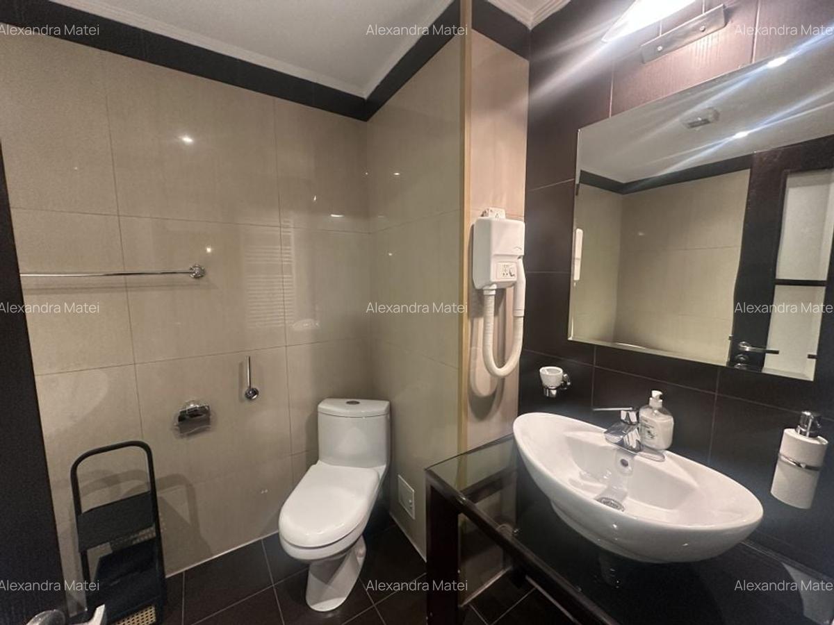 Apartament 3 camere Herastrau - 4