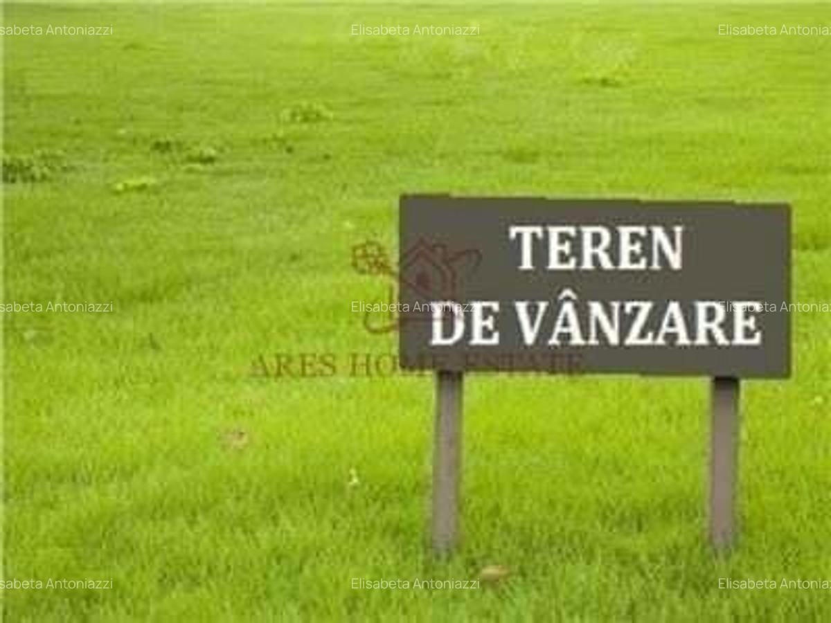 Teren 5.000 mp centura Calea Sagului- Freidorf. Comision 0 - 7