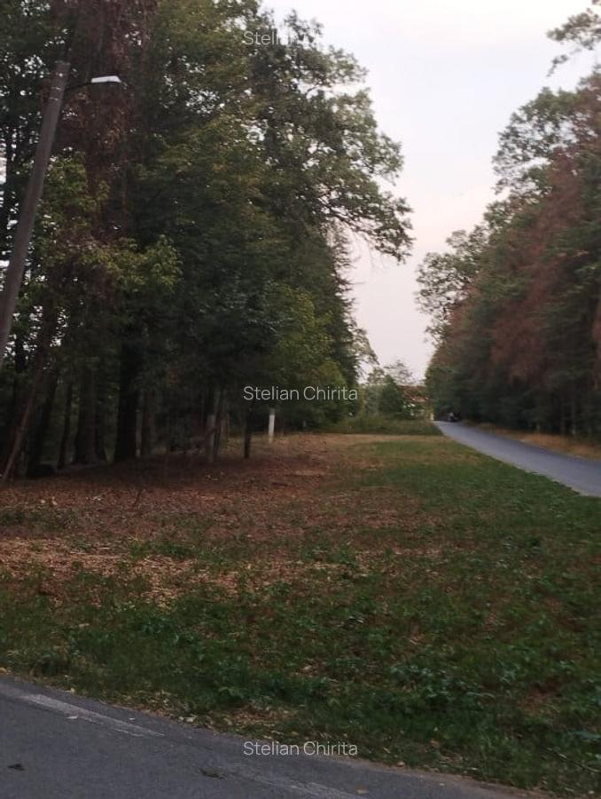 SUPER  OCAZIE TEREN 4000MP DE VANZARE IN SNAGOV CU DESCHIDERE LA LACUL SNAGOV - 14