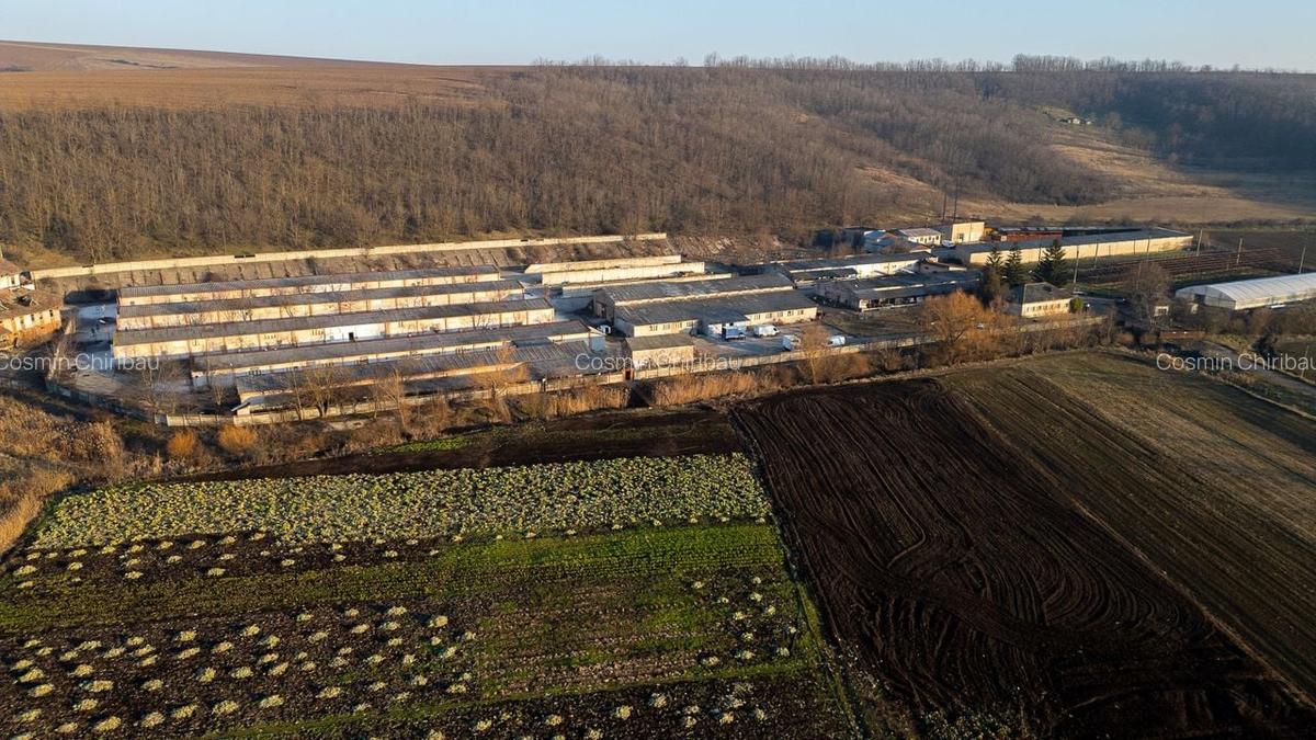 Fosta Ferma a Partidului de la Horgesti - de vanzare - 21