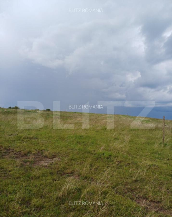 Teren extravilan 1249 mp in Copaceni! Oportunitate investiti - 7