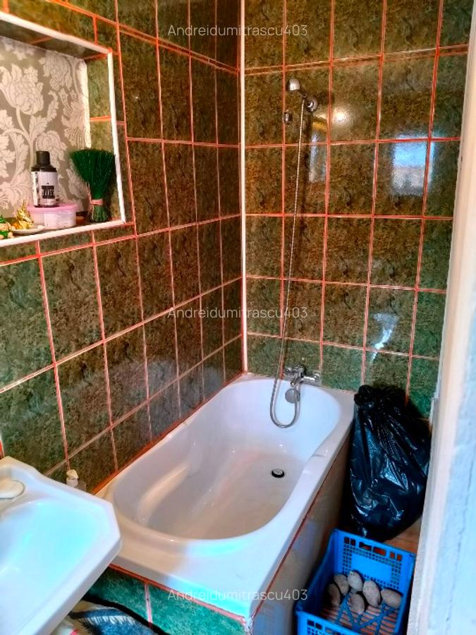 CASA+TEREN 266mp ona parc carol viilor - 10