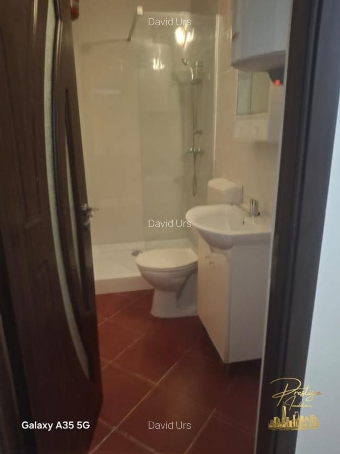 Apartament cu o camera de vanzare in zona Ultracentrala - Oradea - 2