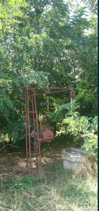 Vand casa plus pamant in sat Horia judetul Braila. - 5