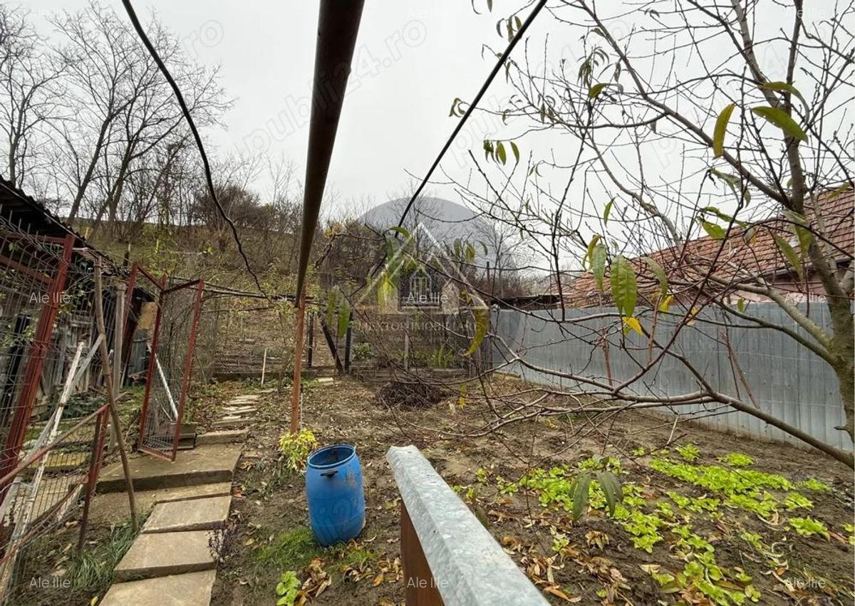 Casa de 3 camere, Medias - 14