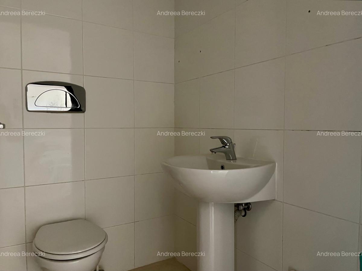 Vanzare apartament 2 cam, 2 bai 59 mp, parter | Iancu Nicolae, ZOO - 9
