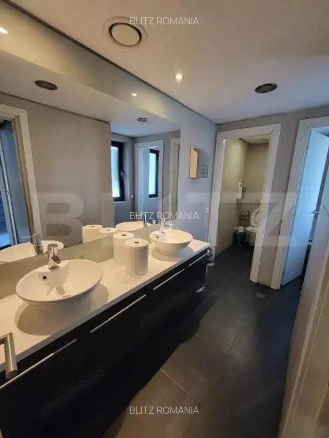 Spatiu birouri, 335 mp, zona Piata Victoriei - 5