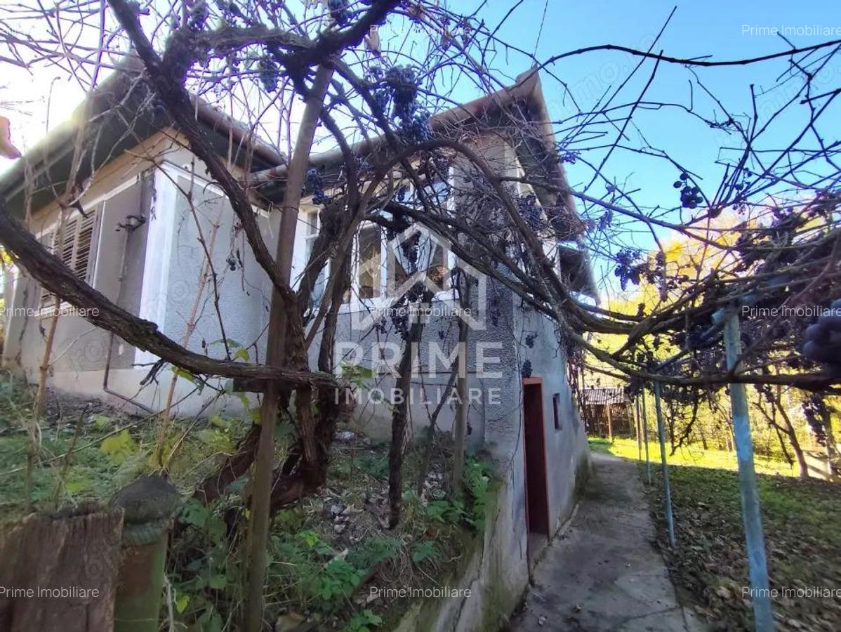 Casa Individuala 3 camere| 769 mp teren| zona Blaj - 1