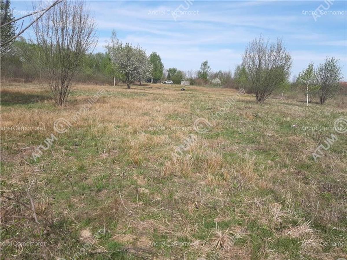 Teren intravilan 2700 mp pe Valea Avrigului localitate Avrig - 7