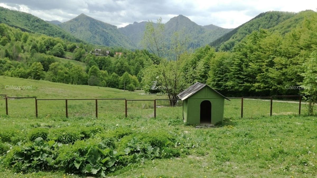 Casa de Vacanta / Cabana / Vila / Pensiune / Lepsa Vrancea -Munte - 6