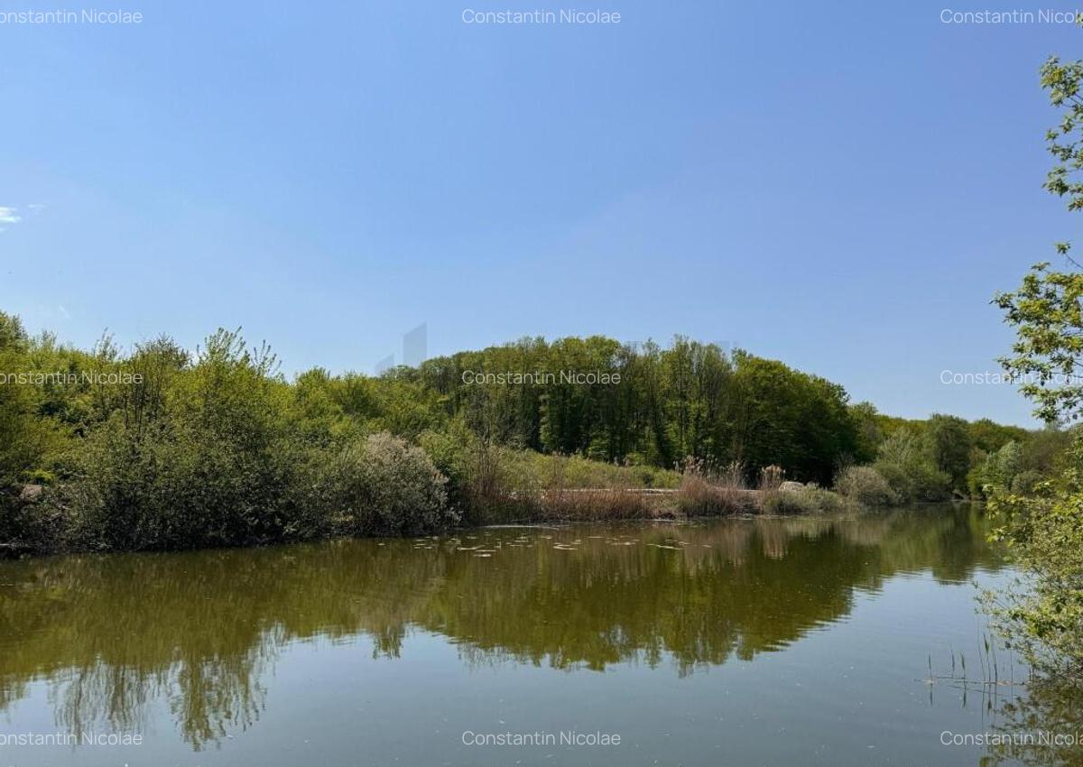 Teren 10000 mp Deschidere Lac Silistea Snagovului De Vanzare - 3