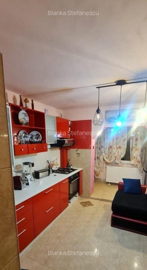 Oportunitate!!! Apartament 2 camere, decomandat, de vanzare, etaj 1, Craiter - 13