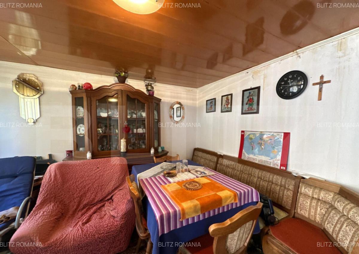 Casa saseasca de vanzare, curte, gradina, teren 3000 mp - Ji - 13