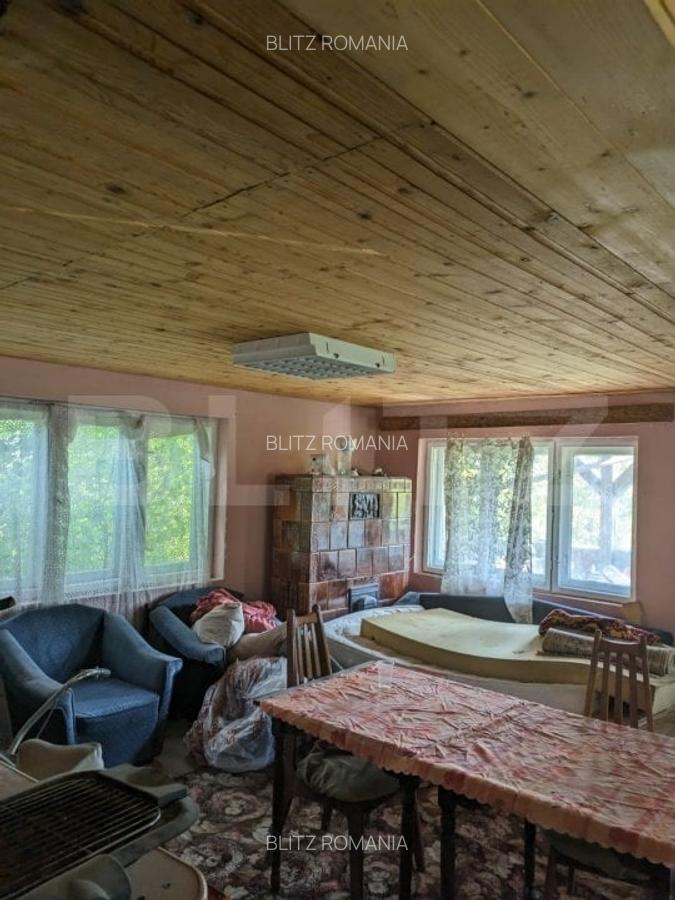 Casa 3 camere si teren 4873 mp  in Pietroasa, Moldovenești - 3