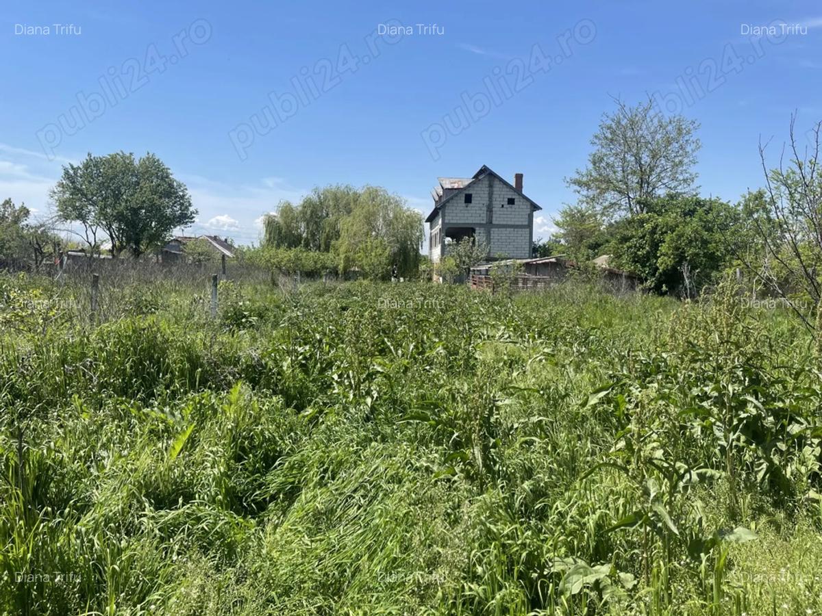 2 case in Comuna Salcia Jud. Teleorman + 7500 mp teren intravilan - 4