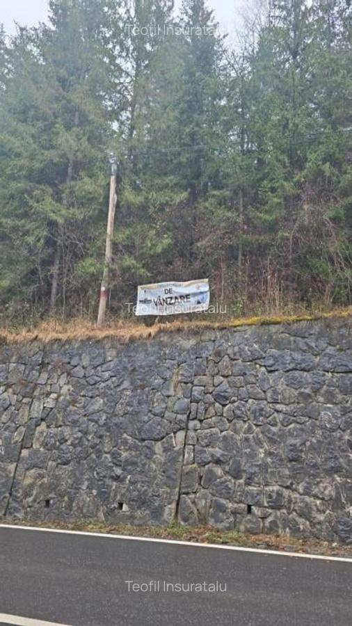 Teren de vanzare Hangu. Intravilan. Deschidere la LAC - 6