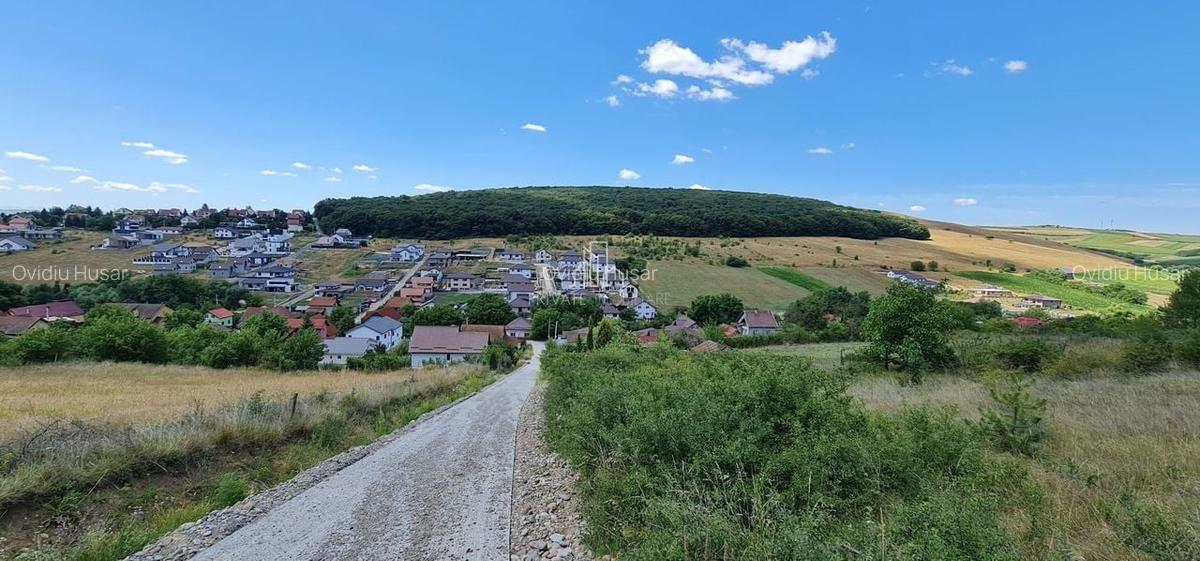 Teren 1 598 Mp De Vanzare, Panorama Superbă, Str Livezi, Sancrai - 4