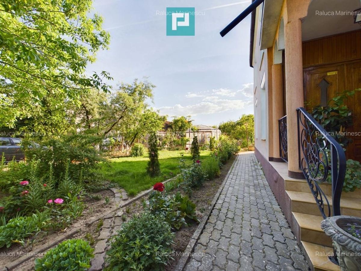 Casă clasică în Chișineu-Criș - 10