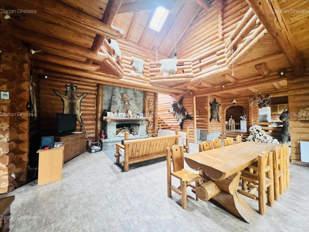 Cabana vanatoreasca din lemn cu vedere spectaculoasa, langa Castelul Cantacuzino - 16