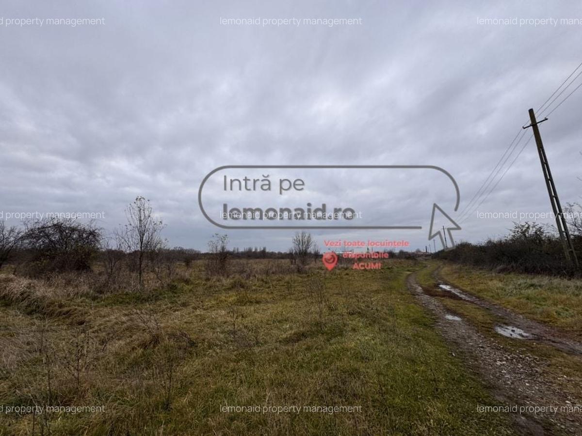 Teren Șag - intravilan agricol | 3.200 mp - 2
