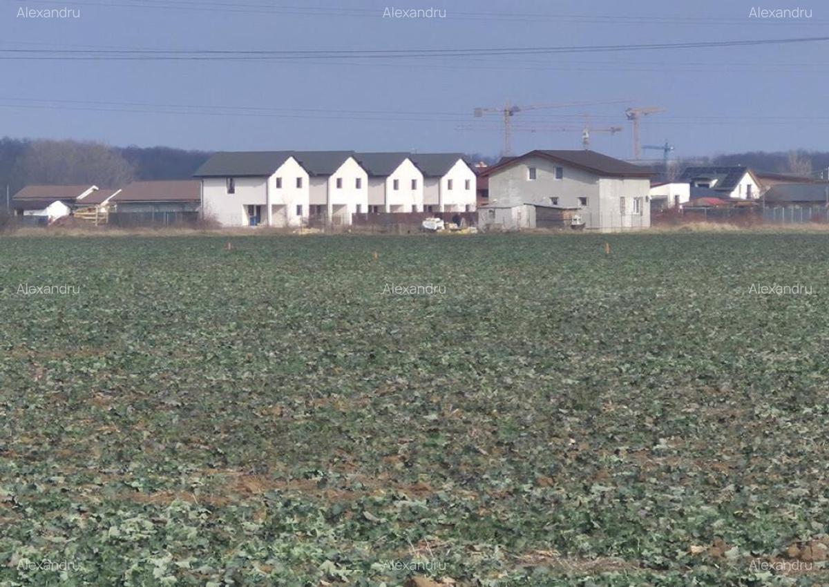 Teren intravilan Balotesti,langa ansamblul Terra si padure, 17000 euro - 5