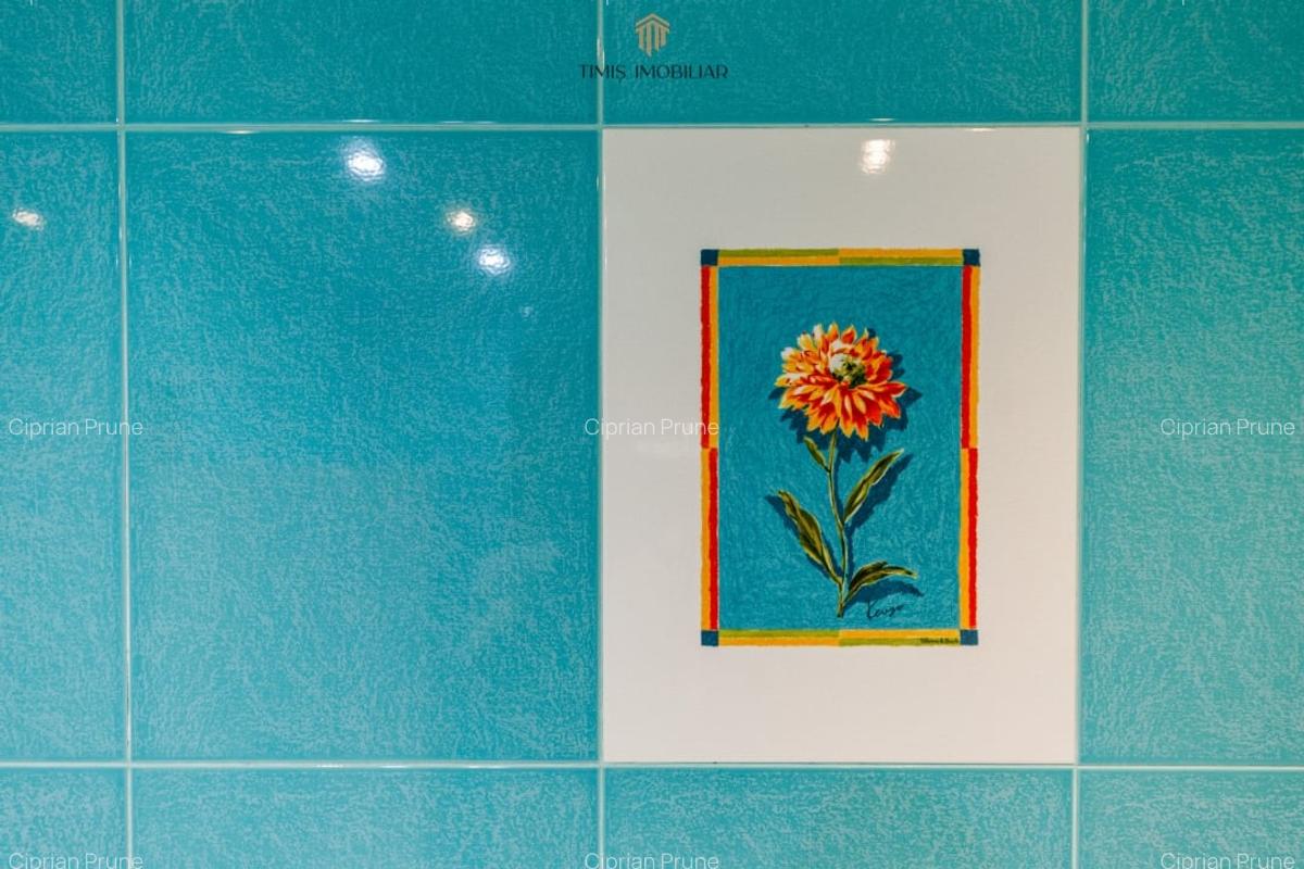 Apartament cu farmec istoric, 72 mp, spre inchiriere – Ion Ghica - 26