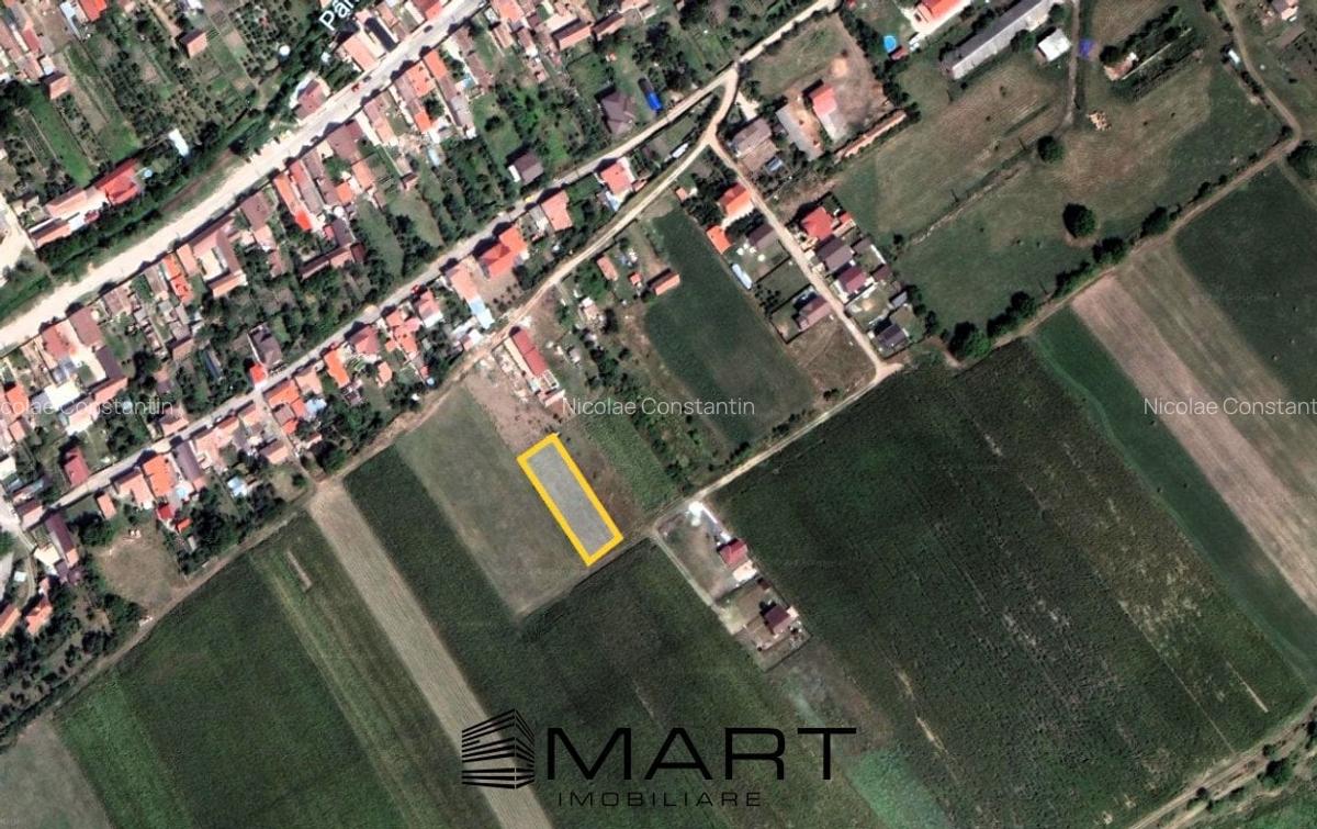 Teren extravilan 1000mp Sura Mare - 1