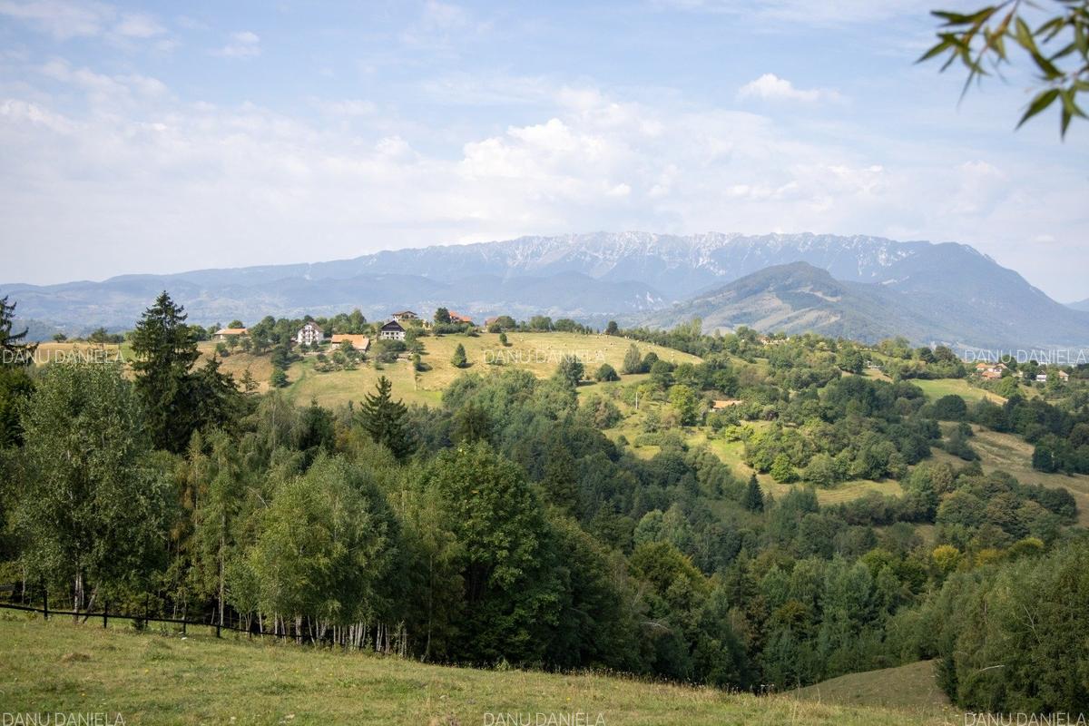 Investitie turistica unica - Bran Sohodol 10131mp-pe traseul Via Transilvanica - 4