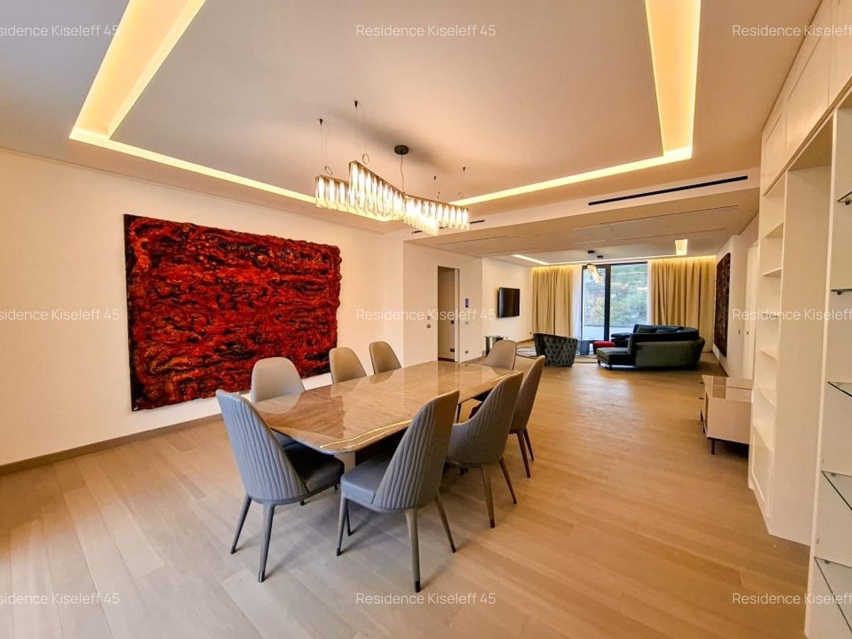Închiriere apartament de lux cu 4 camere în Residence Kiseleff - ap. 2, etj. 2 - 13
