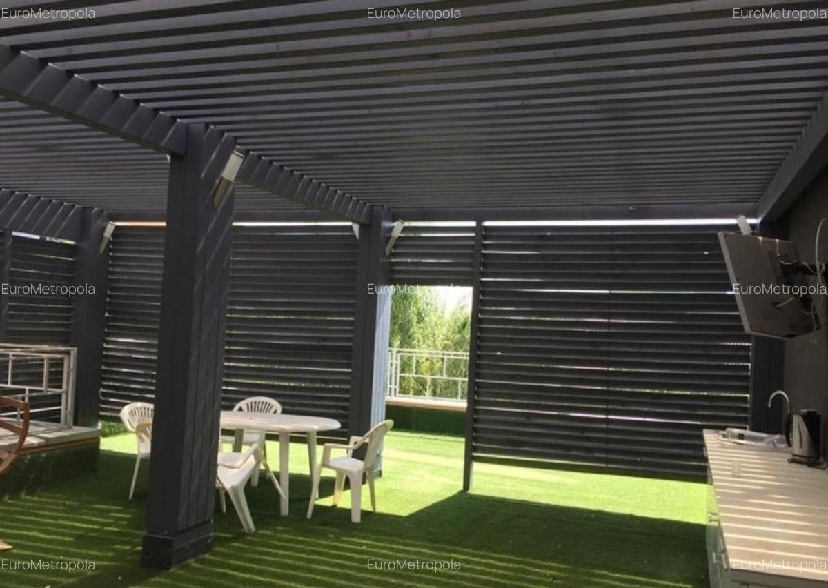 Casă cu 8 camere în Băneasa - 9