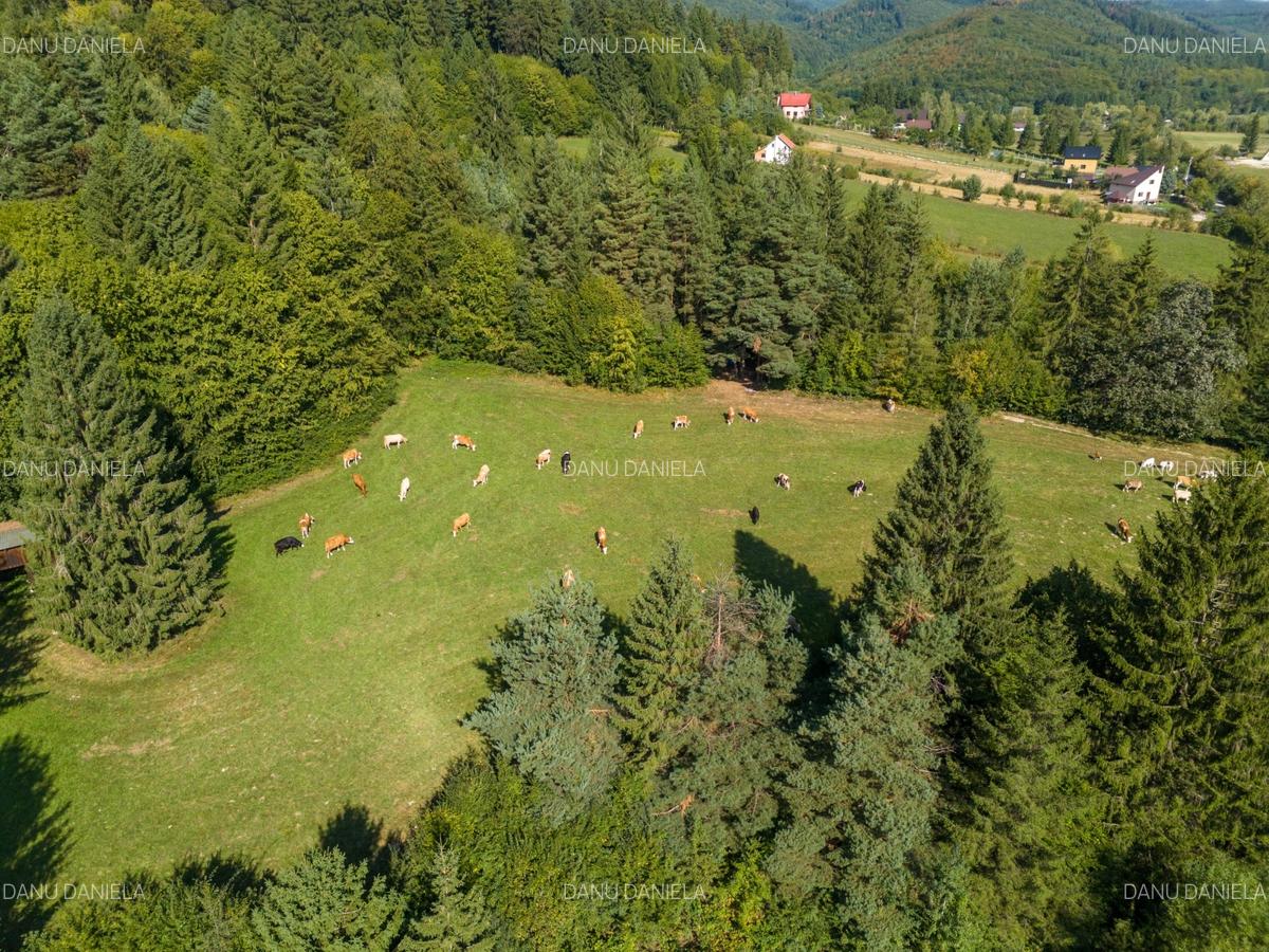 Investitie premium in turism-teren 6800mp langa lacuri Vulcan Brasov - 5