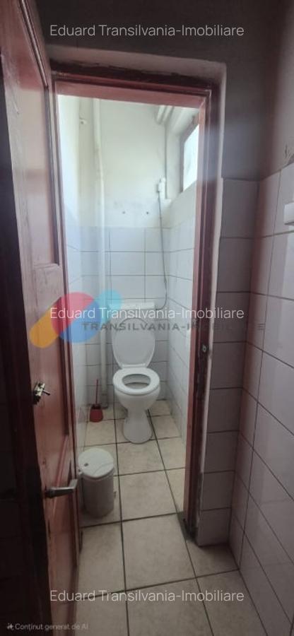 Spatiu industrial 600mp + 1500mp curte - Someseni - 6