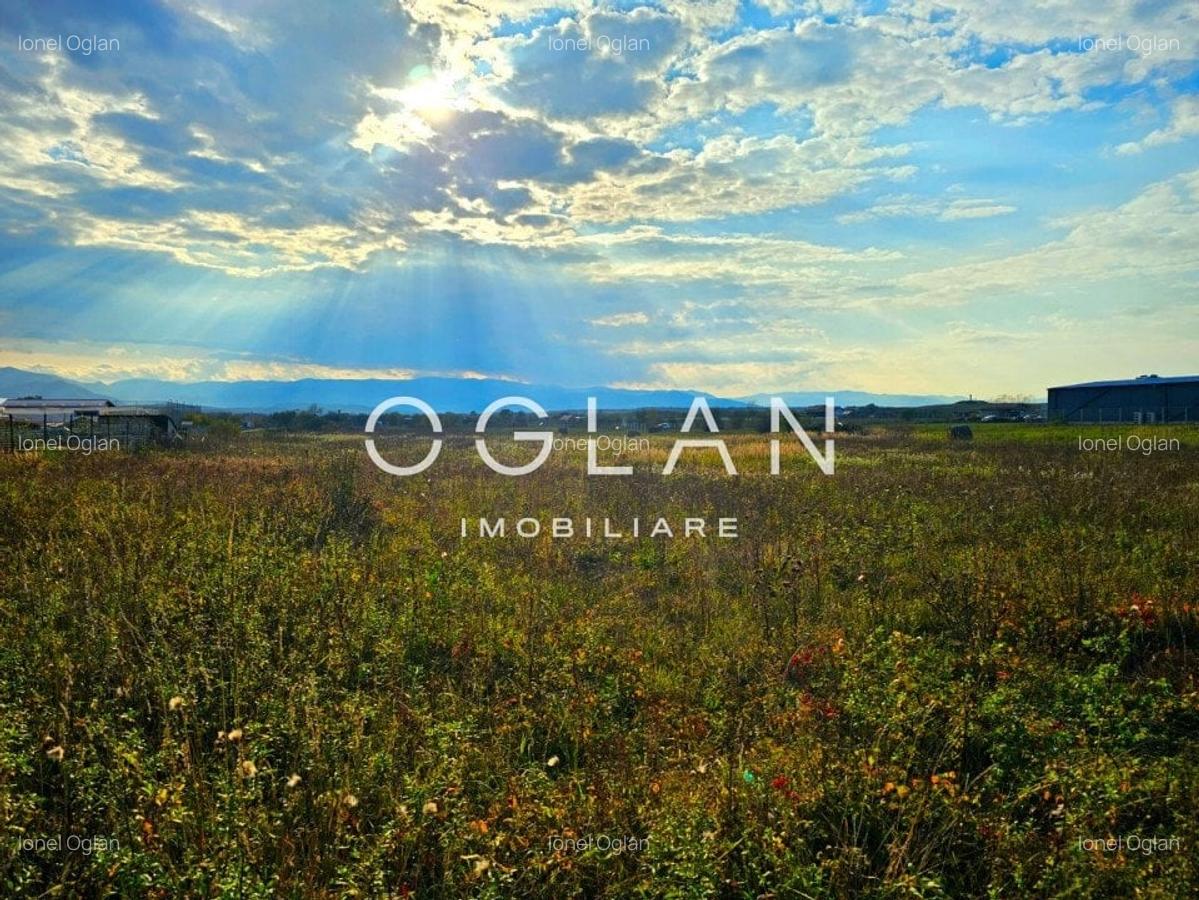 Teren Selimbar-DN1, comercial/industrial, COMISION 0% - 13