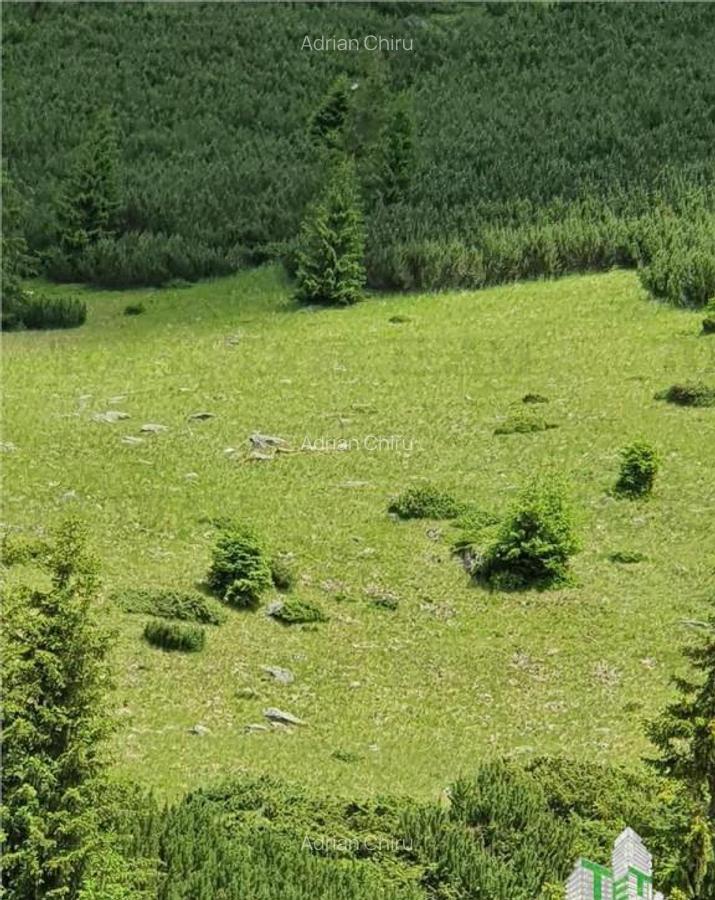 SUPER OPORTUNITATE, DE VANZARE O PROPRIETATE SPECIALA, MUNTE - 15