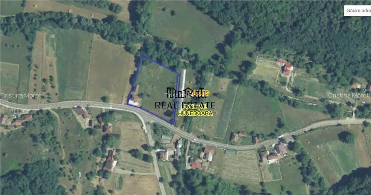 Proprietate in Apuseni - fosta pizzerie, ideala pentru afacere sau locuinta - 1