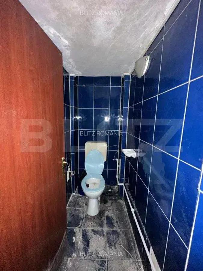 Spatiu comercial, 293 mp/129 mp, zona ultracentrala cu Vad - 6