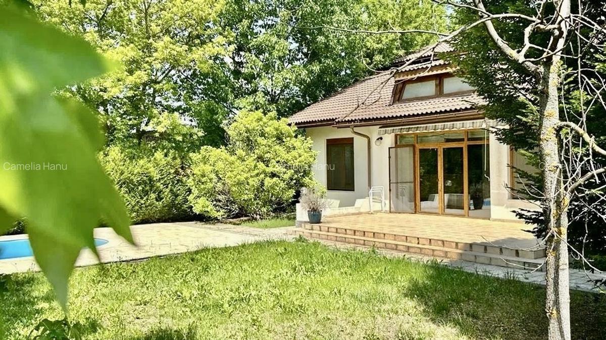 Oportunitate! vila individuala cu piscina - teren 800mp- Iancu Nicolae - 7