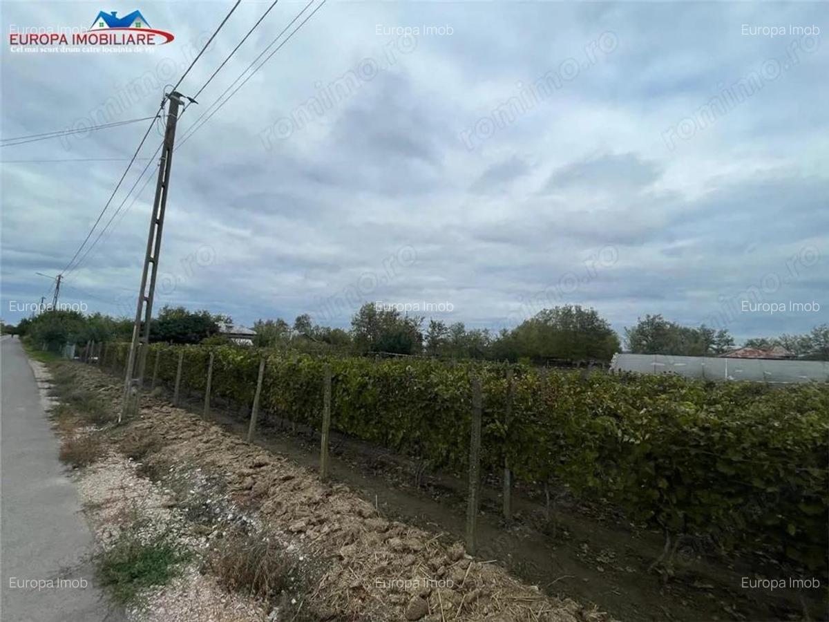 Teren de vanzare in localitatea Iazurile judetul Tulcea - 11